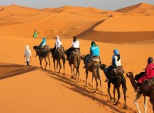 camel trekking Tours